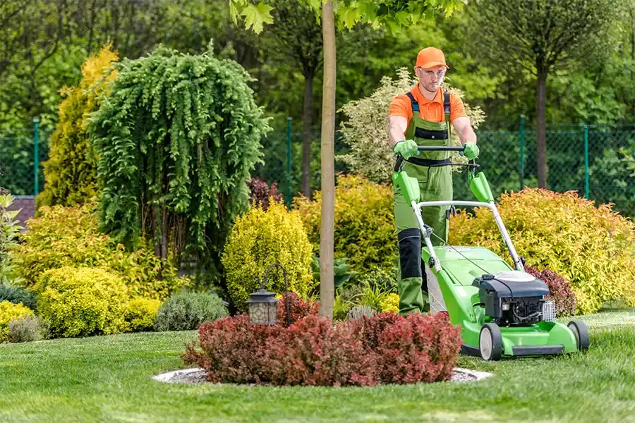 Mowing Services