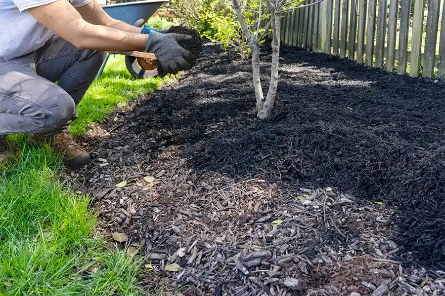 Mulching Services