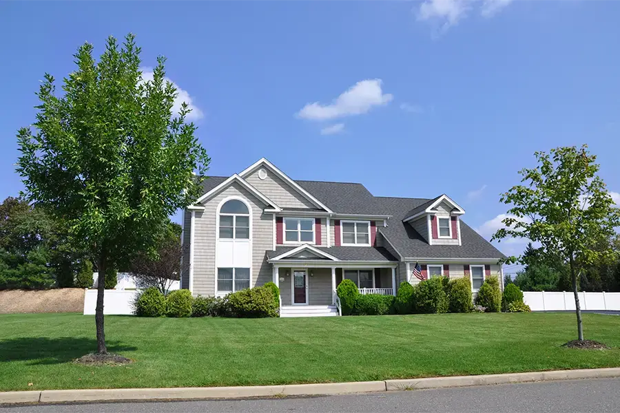 Professional Landscaping Contractor