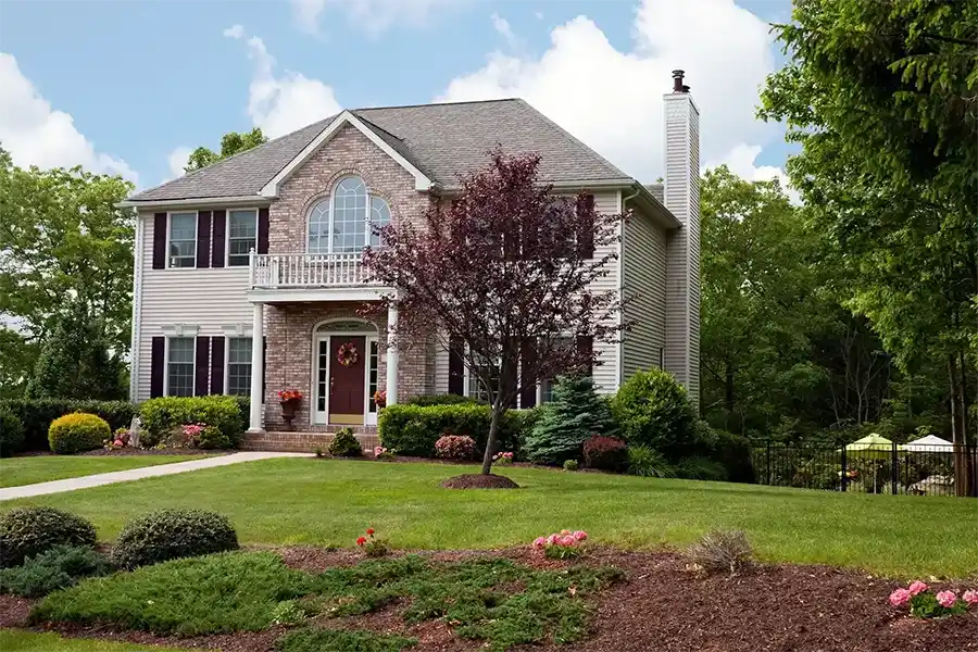 Professional Landscaping Contractor