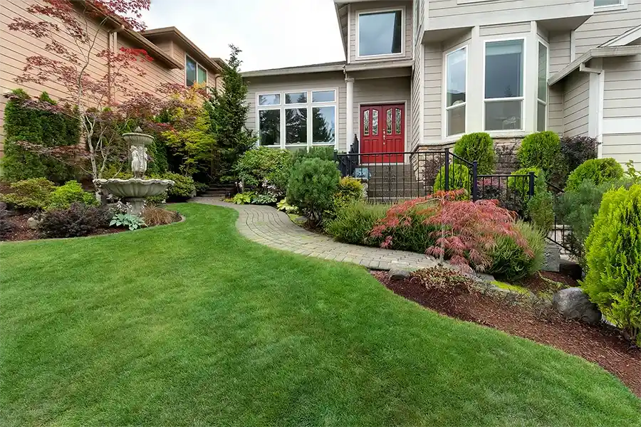 Professional Landscaping Contractor