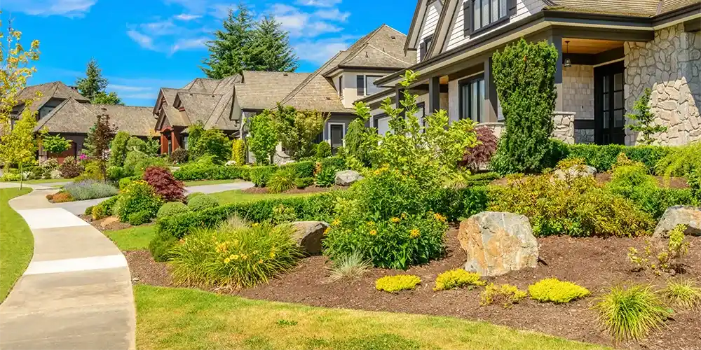 Professional Landscaping Contractor