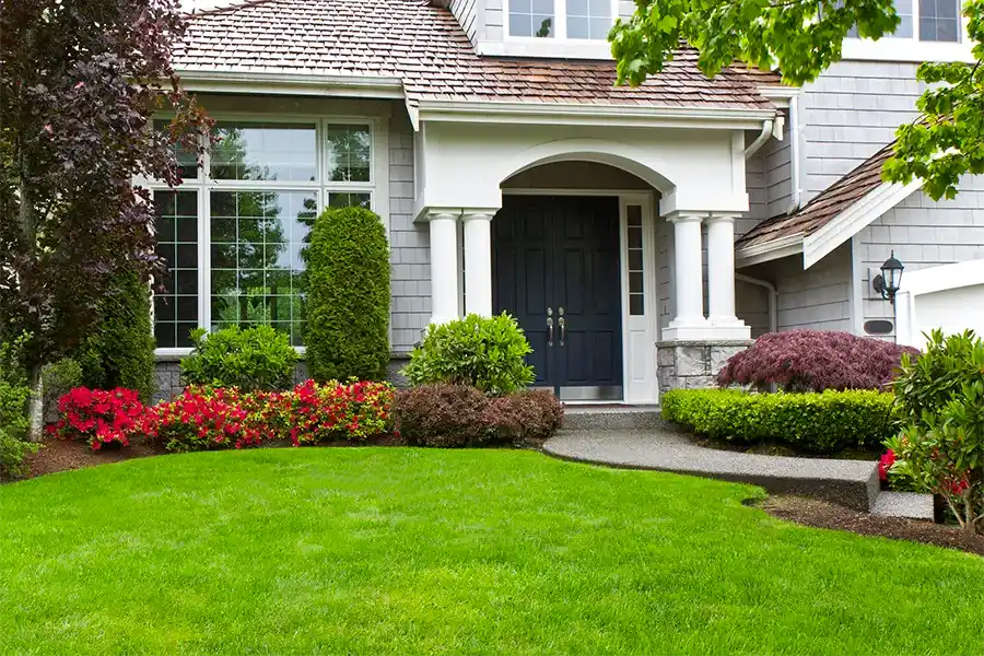 Professional Landscaping Contractor