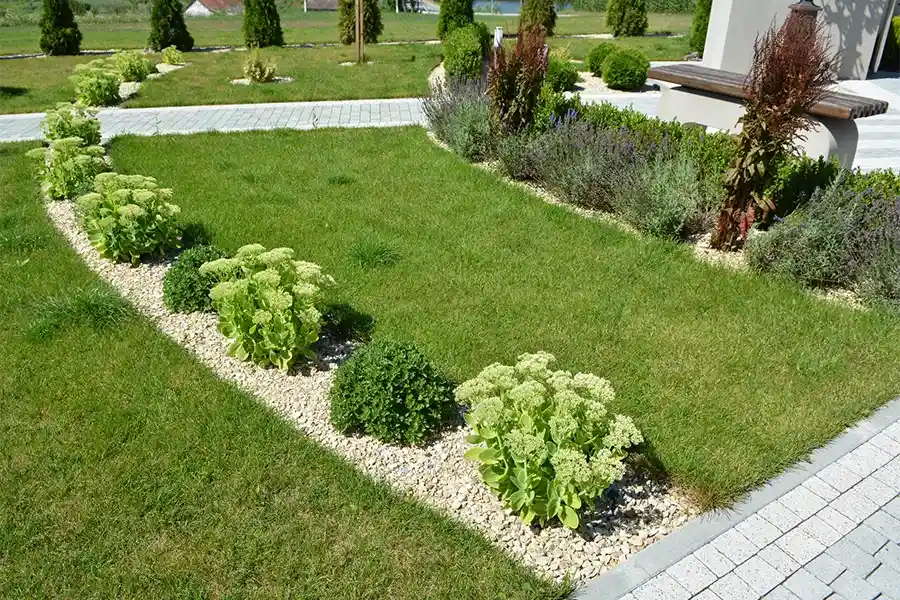 Professional Lawn Service