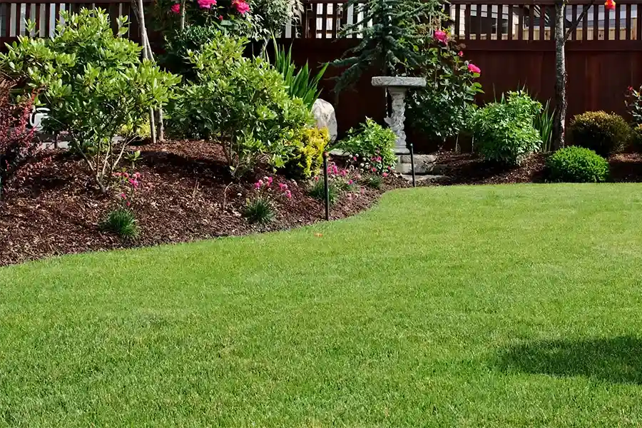 Professional Lawn Service