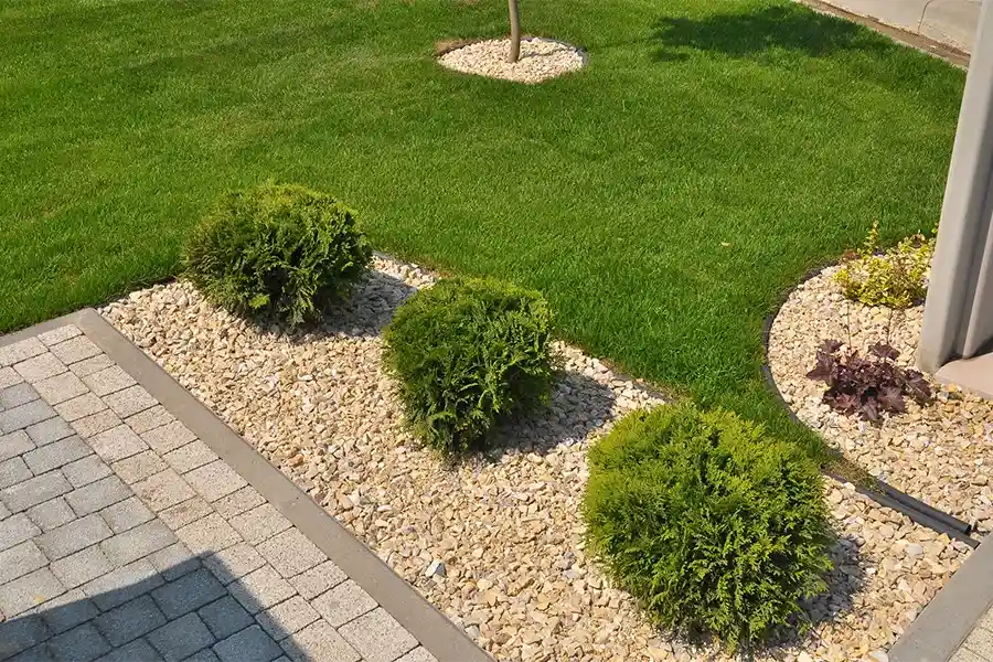 Professional Lawn Service